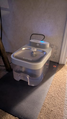 Jim R.'s cat